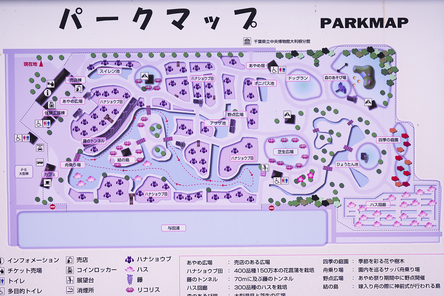 水郷佐原あやめパークのパークパークマップの写真