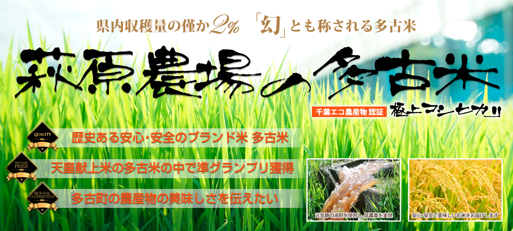千葉県産多古米コシヒカリ商品ページサムネイル画像