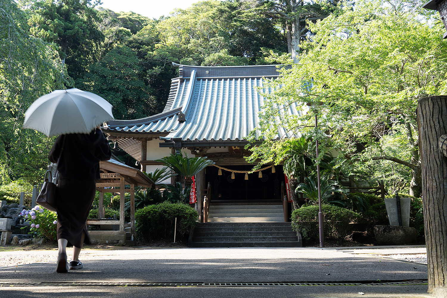 真野寺の本堂