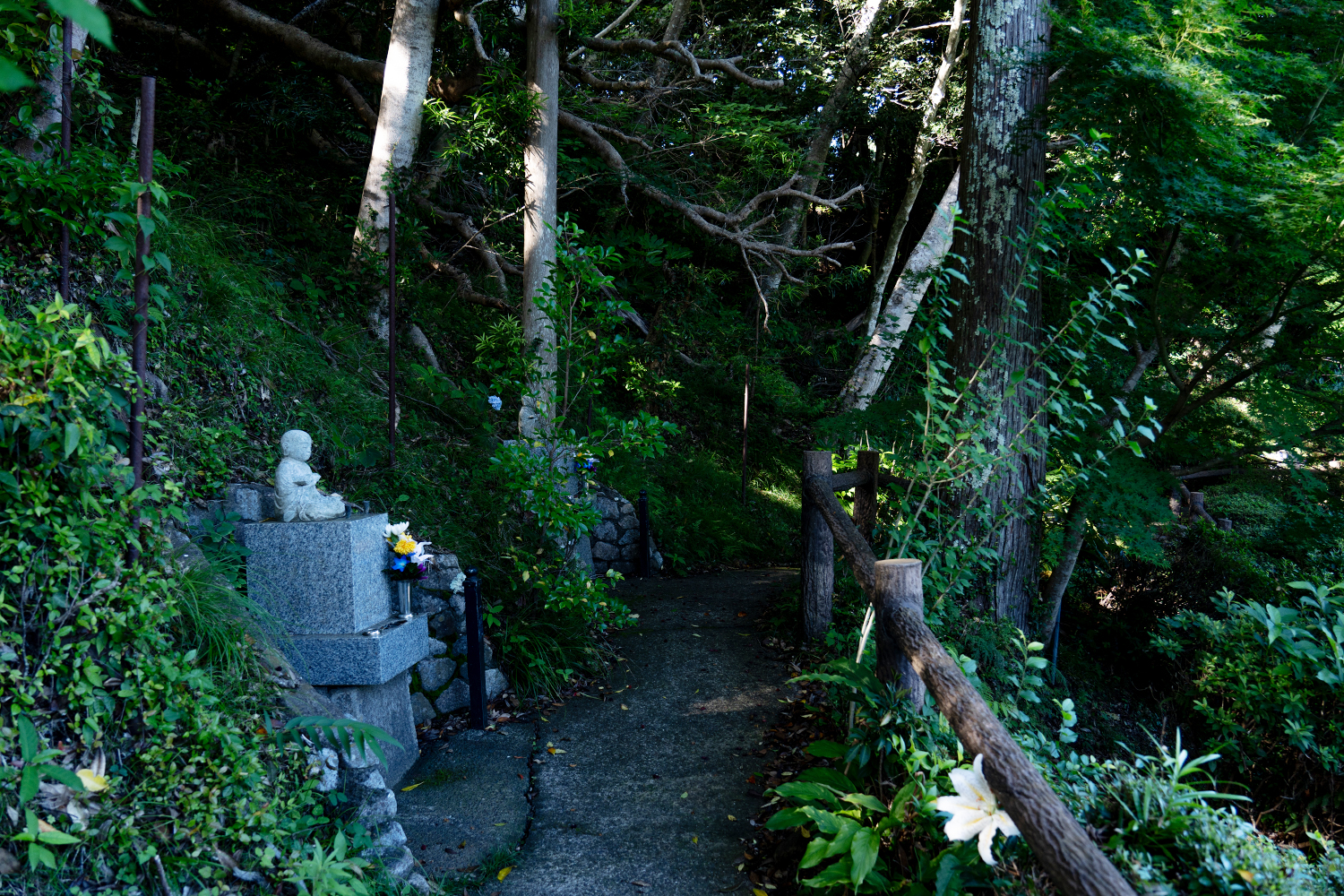 真野寺の散策道