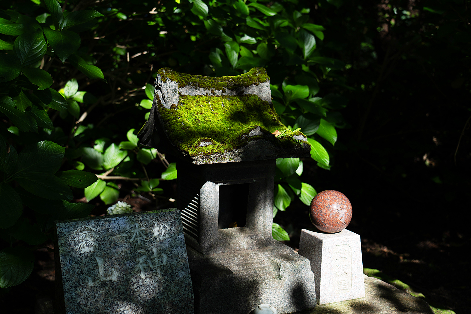 真野寺の紫陽花散策で見つけた山神様の祠