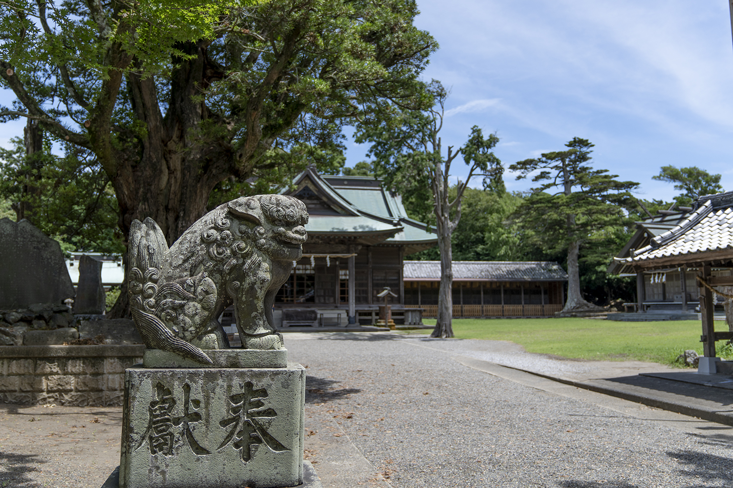 鶴谷八幡宮の狛犬の写真