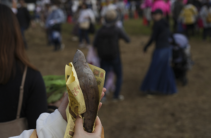 日本一の焼いも広場で焼かれたお芋ゲット